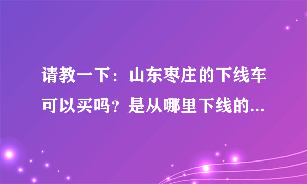 请教一下：山东枣庄的下线车可以买吗？是从哪里下线的车辆呢？我想买辆07的桑塔纳3000 什么价格可以买？