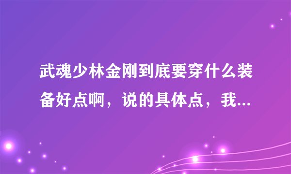 武魂少林金刚到底要穿什么装备好点啊，说的具体点，我看有的人穿无畏的，有的是军功的，