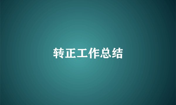 转正工作总结