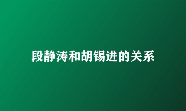 段静涛和胡锡进的关系