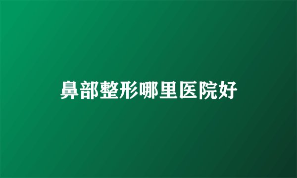 鼻部整形哪里医院好