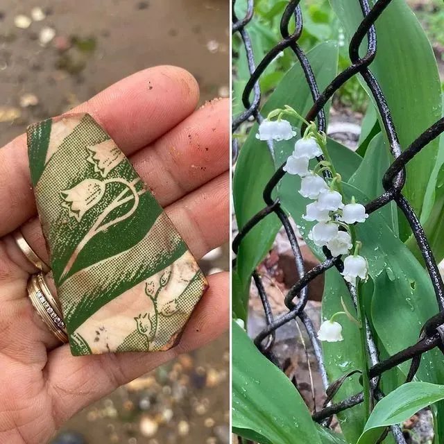 捡垃圾没出息？他在凌晨3点做了一生中最有意义的事情