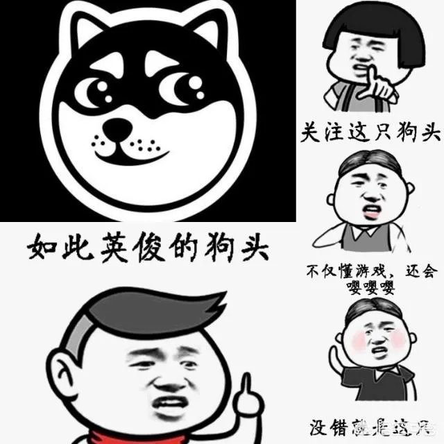 omg吃鸡队教练