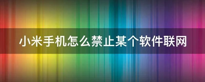 小米手机怎么禁止某个软件联网