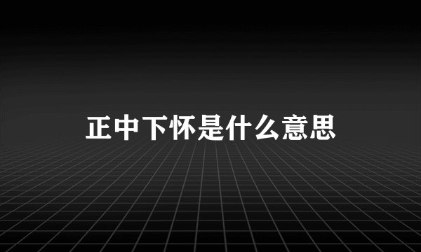 正中下怀是什么意思
