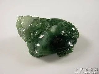 龙龟图片