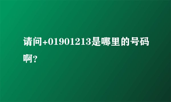 请问+01901213是哪里的号码啊？