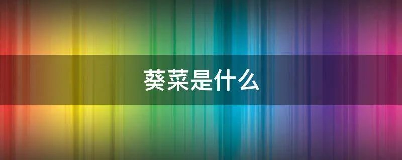 葵菜是什么