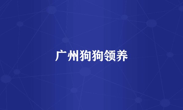 广州狗狗领养
