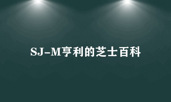 SJ-M亨利的芝士百科