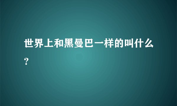 世界上和黑曼巴一样的叫什么？