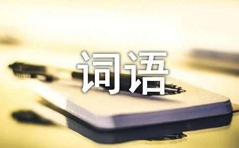 皆组词有哪些词语