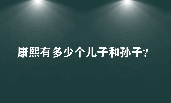 康熙有多少个儿子和孙子？