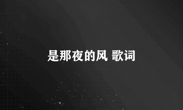是那夜的风 歌词