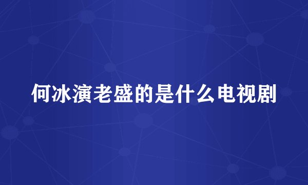 何冰演老盛的是什么电视剧