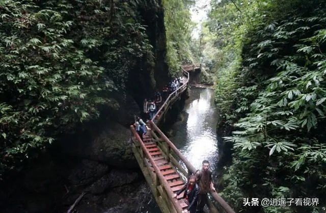 成都青城山好玩吗?