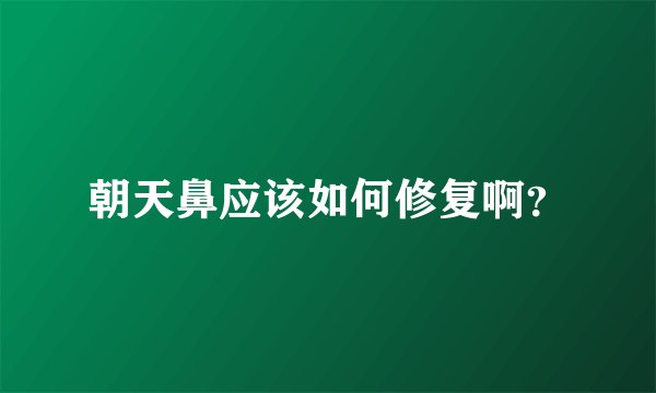 朝天鼻应该如何修复啊？