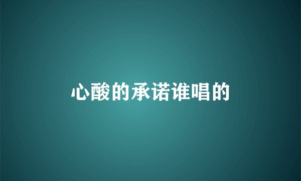 心酸的承诺谁唱的