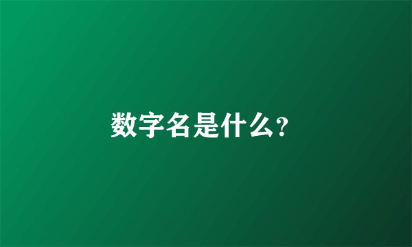 数字名是什么？