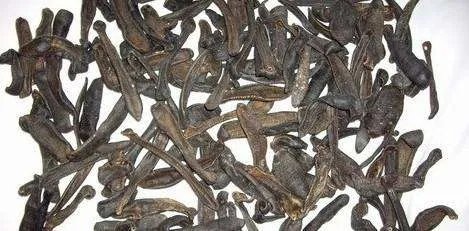 水虱能吃吗