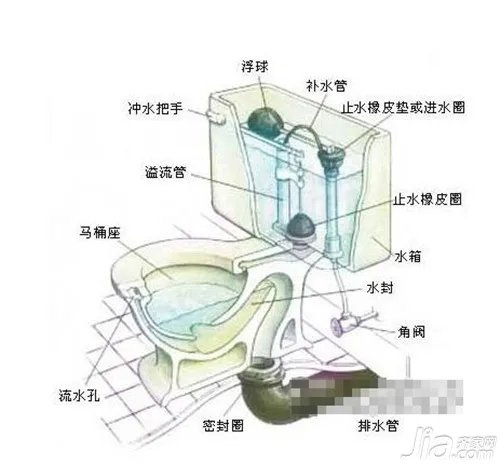 马桶的结构图 马桶堵塞原因分析