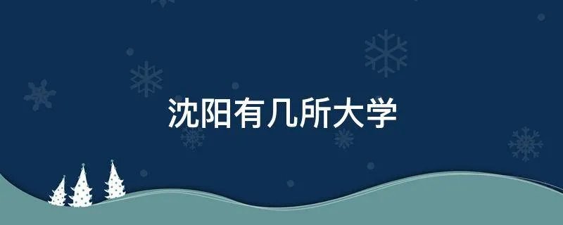 沈阳有几所大学
