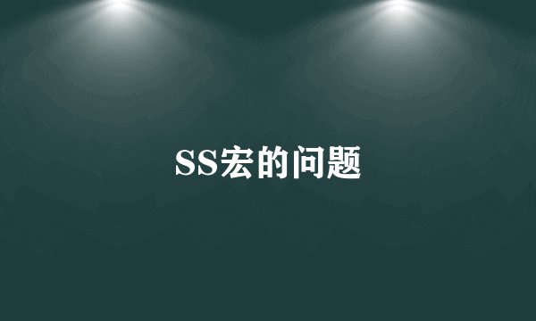 SS宏的问题