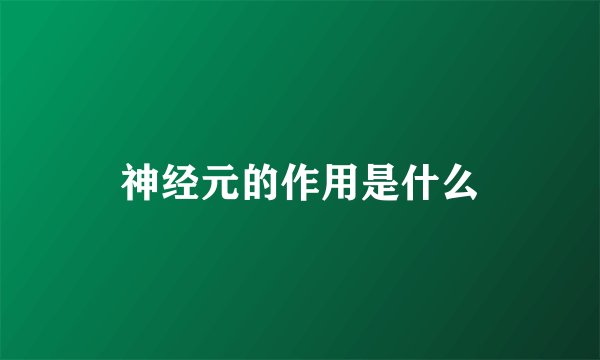 神经元的作用是什么