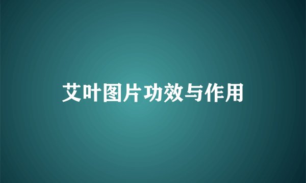 艾叶图片功效与作用