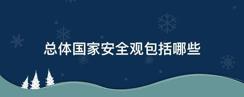 总体国家安全观包括哪些