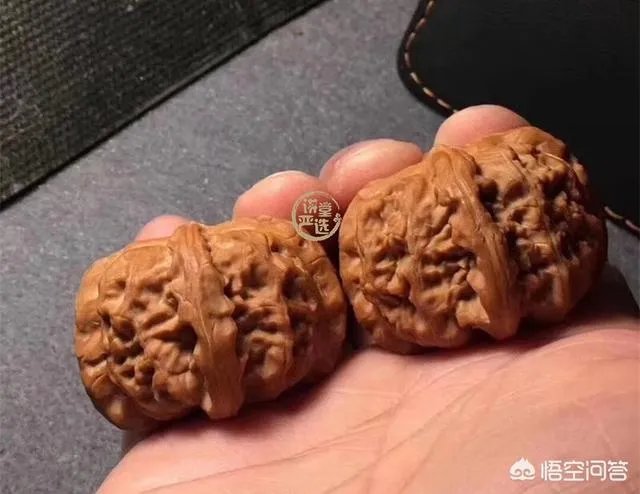 想盘玩核桃,是选小核桃好,还选麻核桃好?有什么区别?