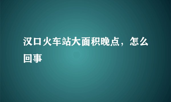 汉口火车站大面积晚点，怎么回事