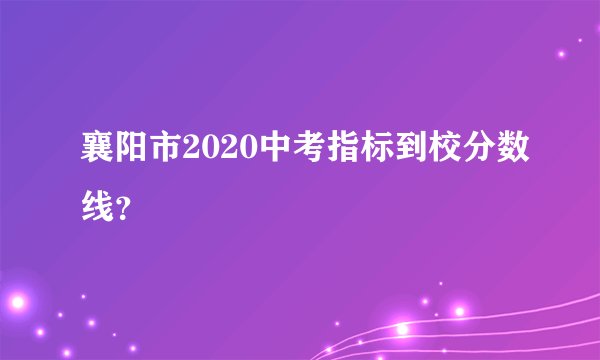 襄阳市2020中考指标到校分数线？