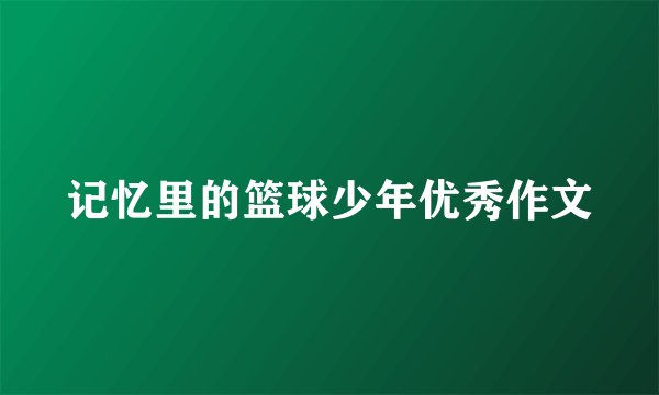 记忆里的篮球少年优秀作文