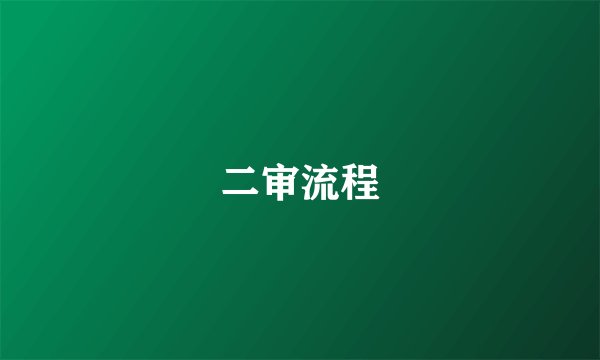 二审流程