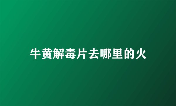 牛黄解毒片去哪里的火