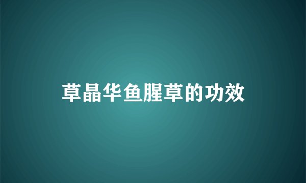 草晶华鱼腥草的功效