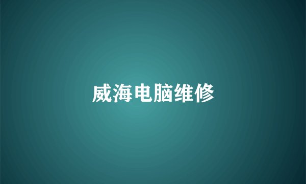 威海电脑维修