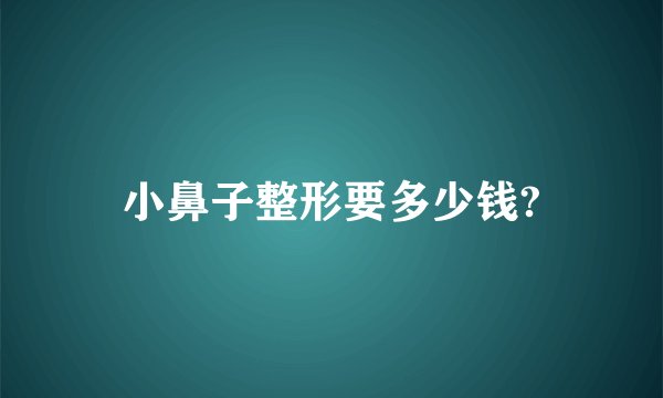 小鼻子整形要多少钱?