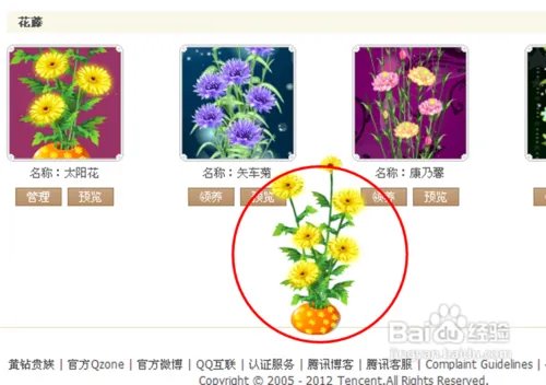 qq空间花藤怎么弄出来