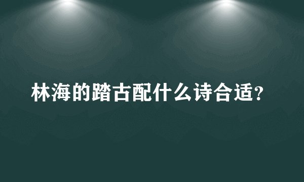 林海的踏古配什么诗合适？