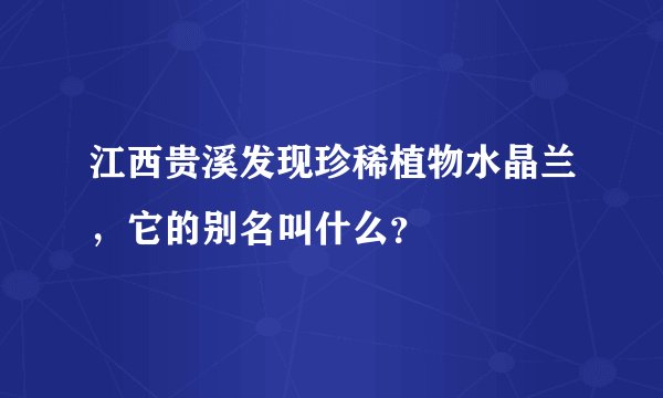 江西贵溪发现珍稀植物水晶兰,它的别名叫什么?