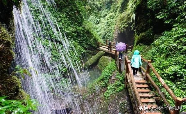 成都青城山好玩吗?
