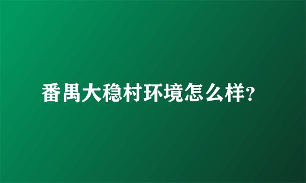 番禺大稳村环境怎么样？