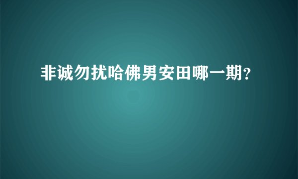 非诚勿扰哈佛男安田哪一期？