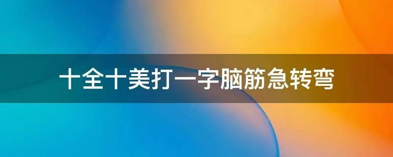 十全十美打一字脑筋急转弯