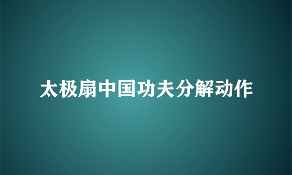 太极扇中国功夫分解动作