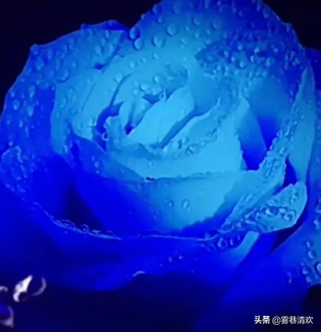 暗恋一人30年,是应该表白还是继续把爱放在心底?