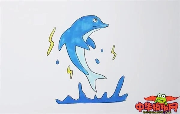 海豚是什么颜色的图片大全?