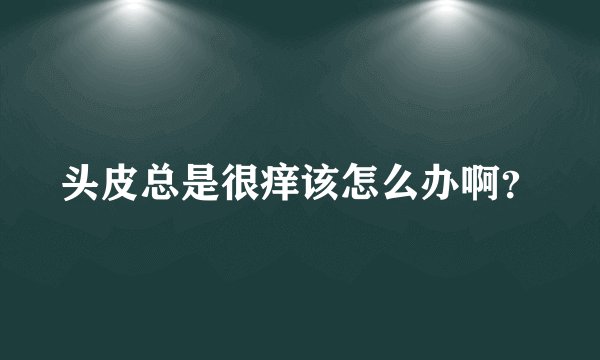 头皮总是很痒该怎么办啊？
